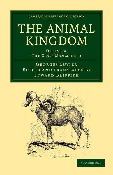 Produktbild: The Animal Kingdom - Volume 4