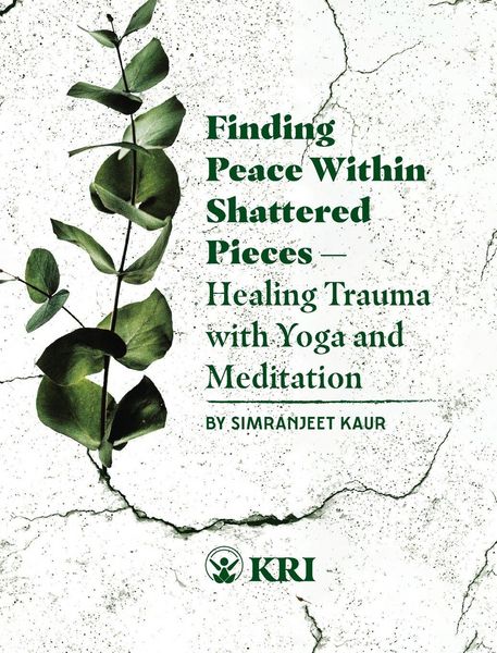 Produktbild: Finding Peace Within Shattered Pieces