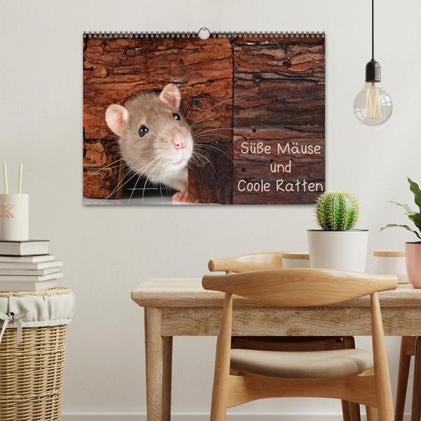 Produktbild: S&uuml;&szlig;e M&auml;use und Coole Ratten (Wandkalender 2026 DIN A3 quer), CALVENDO Monatskalender