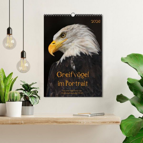 Produktbild: Greifv&ouml;gel im Portrait (Wandkalender 2026 DIN A3 hoch), CALVENDO Monatskalender