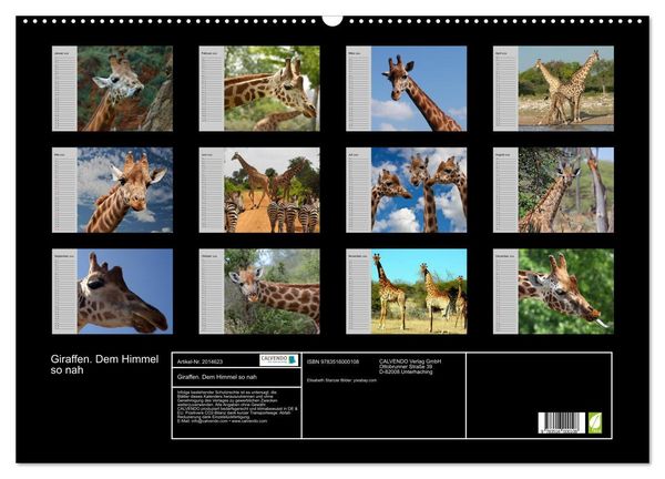 Produktbild: Giraffen. Dem Himmel so nah (Wandkalender 2026 DIN A2 quer), CALVENDO Monatskalender