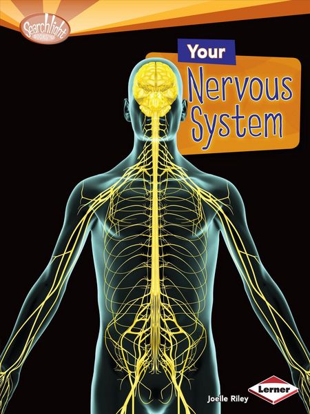 Produktbild: Riley, J: Your Nervous System