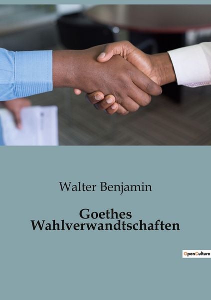 Produktbild: Goethes Wahlverwandtschaften