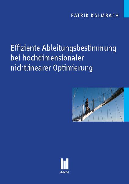 Produktbild: Effiziente Ableitungsbestimmung bei hochdimensionaler nichtlinearer Optimierung