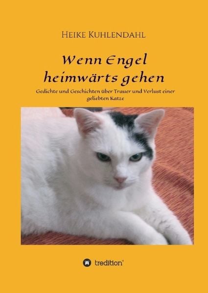 Produktbild: Wenn Engel heimw&auml;rts gehen