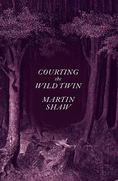 Produktbild: Courting the Wild Twin