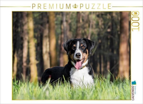 Produktbild: CALVENDO Puzzle Im Wald | 1000 Teile Lege-Gr&ouml;&szlig;e 64x48cm Foto-Puzzle f&uuml;r gl&uuml;ckliche Stunden