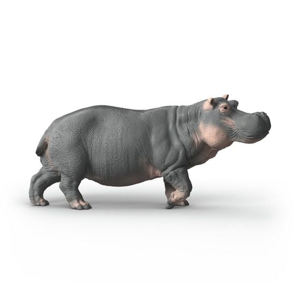 Produktbild: schleich&reg; 14938 Flusspferd