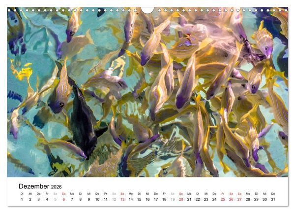 Produktbild: Unterwasserwelt der Malediven II (Wandkalender 2026 DIN A3 quer), CALVENDO Monatskalender