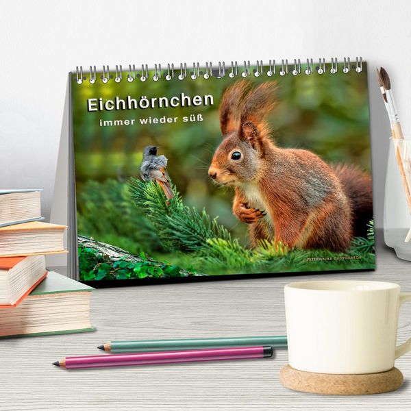 Produktbild: Eichh&ouml;rnchen - immer wieder s&uuml;&szlig; (Tischkalender 2026 DIN A5 quer), CALVENDO Monatskalender