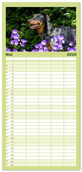 Produktbild: Familienplaner 2026 - Der Beauceron mit 5 Spalten (Wandkalender, 21 x 45 cm) CALVENDO