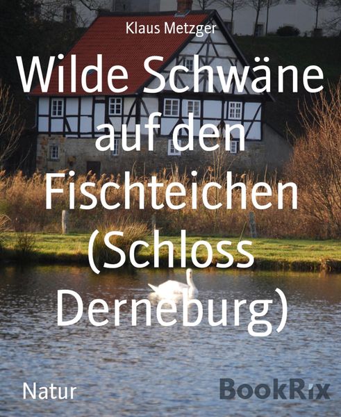 Produktbild: Wilde Schw&auml;ne auf den Fischteichen (Schloss Derneburg)