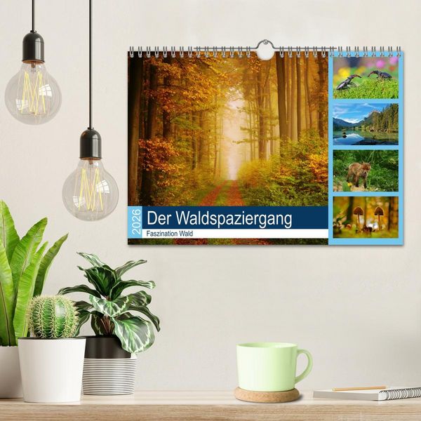 Produktbild: Der Waldspaziergang (Wandkalender 2026 DIN A4 quer), CALVENDO Monatskalender