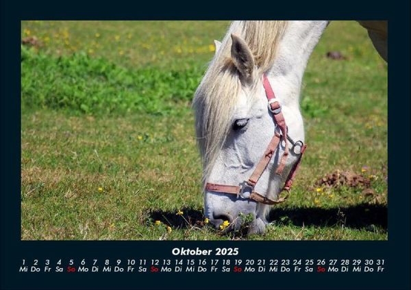 Produktbild: Tiere auf dem Bauernhof 2025 Fotokalender DIN A4