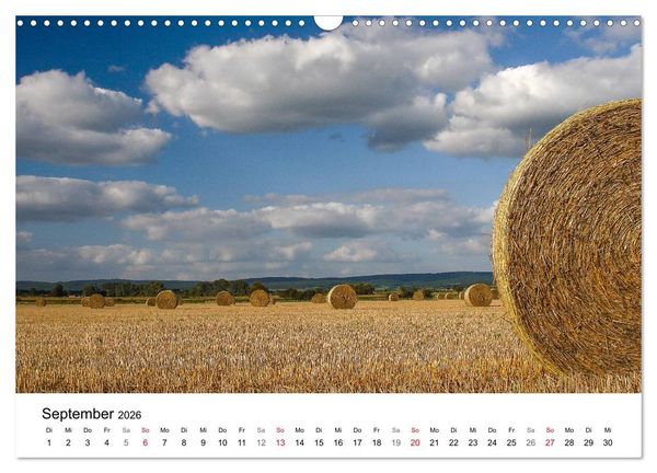 Produktbild: Paderborn - Die sch&ouml;nsten Seiten der Stadt (Wandkalender 2026 DIN A3 quer), CALVENDO Monatskalender