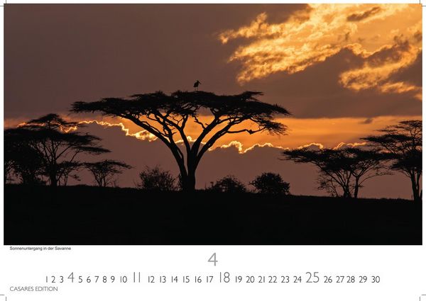 Produktbild: S&uuml;dafrika Kalender 2027 &ndash; Wandkalender | Fotokalender Afrika 24x35 cm - . mit atemberaubenden Natur- und Tierkalenderaufnahmen.