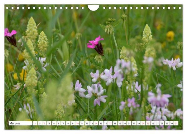 Produktbild: Zauberhaftes Mangfalltal (Wandkalender 2026 DIN A4 quer), CALVENDO Monatskalender