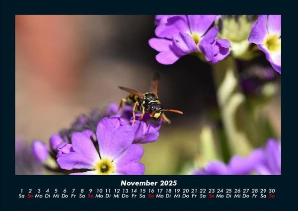 Produktbild: Bienen 2025 Fotokalender DIN A4