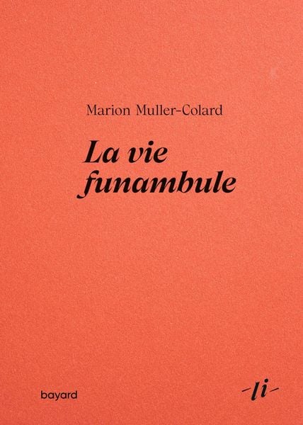 Produktbild: La vie funambule