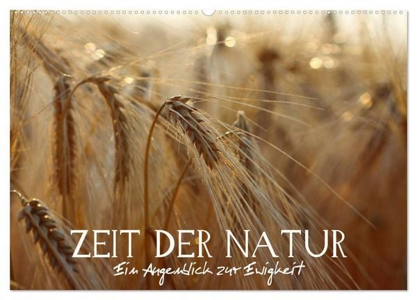 Zeit der Natur - Ein Augenblick zur Ewigkeit (Wandkalender 2026 DIN A2 quer), CALVENDO Monatskalender