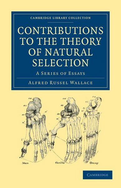 Produktbild: Contributions to the Theory of Natural Selection