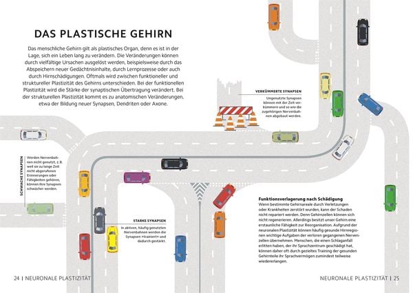 Produktbild: SIMPLY. Das Gehirn