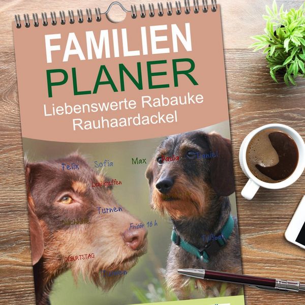 Produktbild: Familienplaner 2026 - Liebenswerte Rabauken - Rauhaardackel mit 5 Spalten (Wandkalender, 21 x 45 cm) CALVENDO