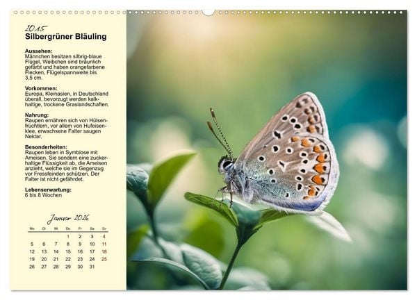 Produktbild: Insekt des Jahres (hochwertiger Premium Wandkalender 2026 DIN A2 quer), Kunstdruck in Hochglanz