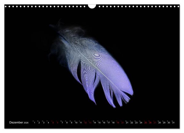 Produktbild: Federleichte Momente (Wandkalender 2026 DIN A3 quer), CALVENDO Monatskalender