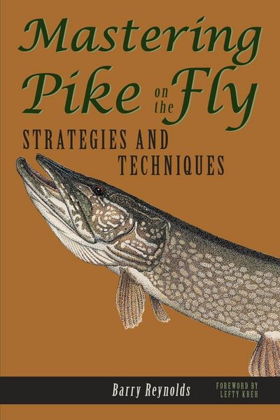 Produktbild: Mastering Pike on the Fly