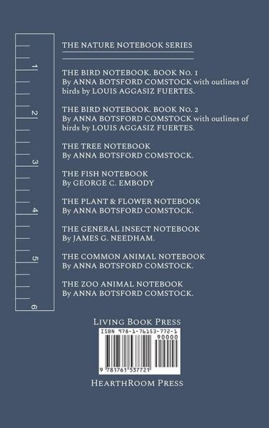 Produktbild: Notes on Birds 2
