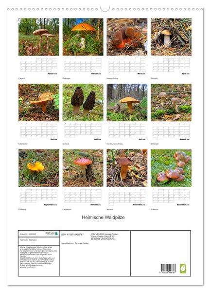 Produktbild: Heimische Waldpilze (Wandkalender 2026 DIN A2 hoch), CALVENDO Monatskalender