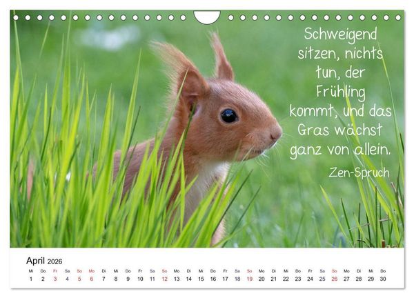 Produktbild: Der literarische Eichh&ouml;rnchen-Kalender (Wandkalender 2026 DIN A4 quer), CALVENDO Monatskalender