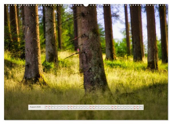 Produktbild: Traumhafte Waldstimmung am Rennsteig im Th&uuml;ringer Wald (hochwertiger Premium Wandkalender 2026 DIN A2 quer), Kunstdruck in Hochglanz