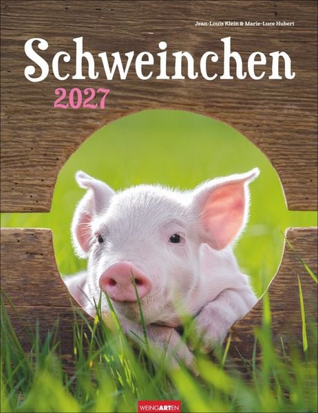Produktbild: Schweinchen Kalender 2027
