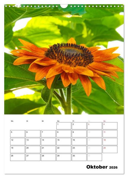 Produktbild: Strahlende Sonnenblumen (Wandkalender 2026 DIN A3 hoch), CALVENDO Monatskalender