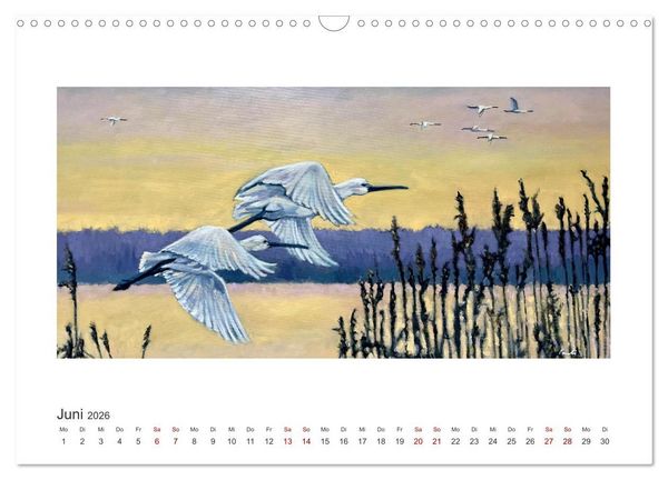 Produktbild: Auf leichten Schwingen - Zugv&ouml;gel (Wandkalender 2026 DIN A3 quer), CALVENDO Monatskalender
