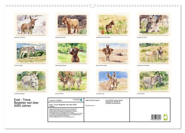 Produktbild: Esel - Treue Begleiter seit &uuml;ber 5000 Jahren (Wandkalender 2027 DIN A2 quer), CALVENDO Monatskalender