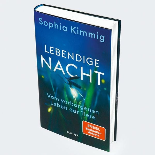 Produktbild: Lebendige Nacht