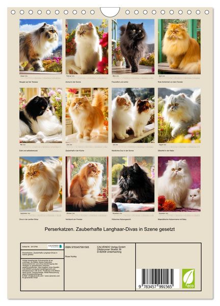 Produktbild: Perserkatzen. Zauberhafte Langhaar-Divas in Szene gesetzt (Wandkalender 2026 DIN A4 hoch), CALVENDO Monatskalender
