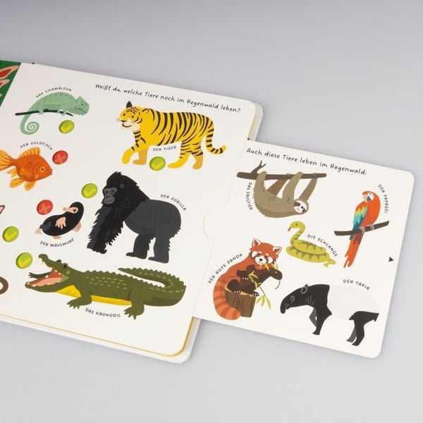 Produktbild: Kennst du die Tiere?