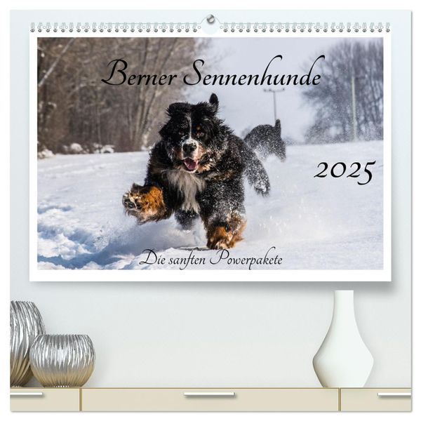 Berner Sennenhunde - Die sanften Powerpakete (hochwertiger Premium Wandkalender 2025 DIN A2 quer), Kunstdruck in Hochgla