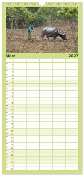 Produktbild: Familienplaner 2027 - K&uuml;he mit H&ouml;rnern mit 5 Spalten (Wandkalender, 21 x 45 cm) CALVENDO