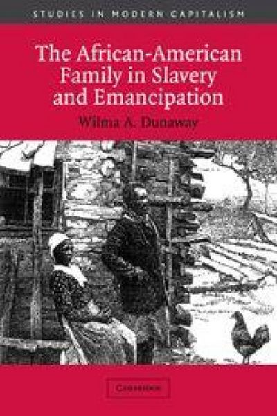 Produktbild: The African-American Family in Slavery and Emancipation
