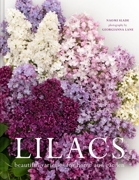 Produktbild: Lilacs