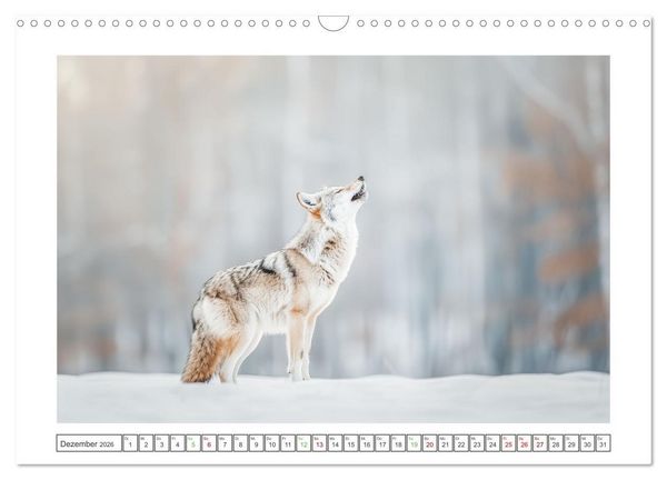 Produktbild: Naturparadies Wald (Wandkalender 2026 DIN A3 quer), CALVENDO Monatskalender
