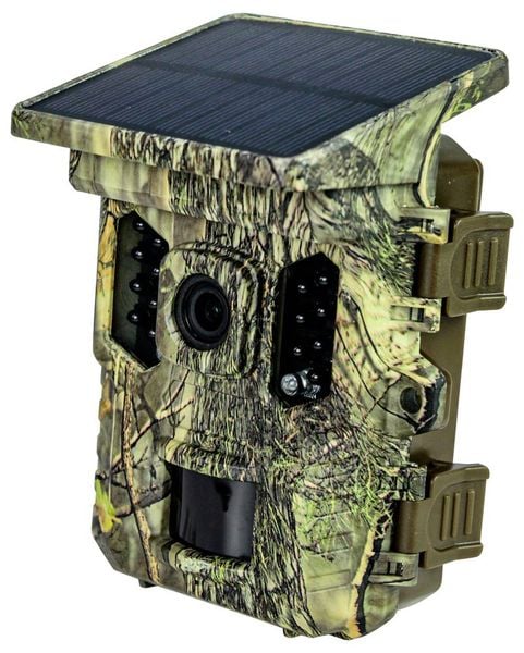 Produktbild: Braun Phototechnik Scouting Cam Black300 WiFi Solar 4K Mini Wildkamera Black LEDs, WLAN, Zeitrafferfunktion Camouflage Gr&uuml;n