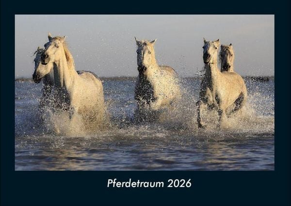 Produktbild: Pferdetraum 2026 Fotokalender DIN A4