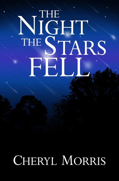 Produktbild: Night the Stars Fell