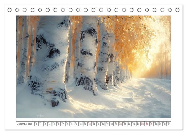 Produktbild: Birkenzauber (Tischkalender 2026 DIN A5 quer), CALVENDO Monatskalender